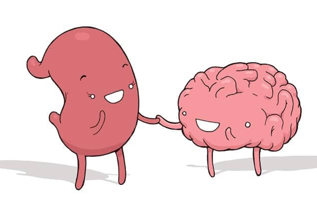 Importance of Healthy Gut & Healthy Brain in ASD & ADHD Kids – A Technical Review